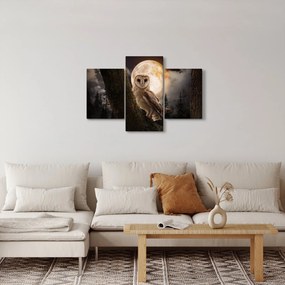 Egy gyöngybagoly képe (90x60 cm)