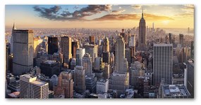 Akrilüveg fotó New york-i járat madár oah-126216157