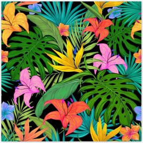 Poszterek 30x30 Levelek Monstery Levelek