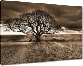 Vászonkép 100x70 Tájkép varázslattal