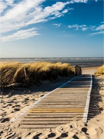 Fotótapéta Ösvény a tengerhez Nyugalom dűnék szellő és harmónia 184x254 +ragasztó