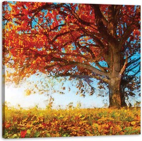 Vászonkép Gyönyörű Fa Piros Levelek Ősz 90X90 cm