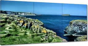 Festmények 120x60 Carrick A Rede