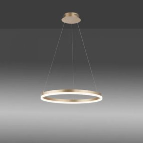 Paul Neuhaus 2382-60 - LED Dimmelhető csillár zsinóron TITUS LED/38,5W/230V