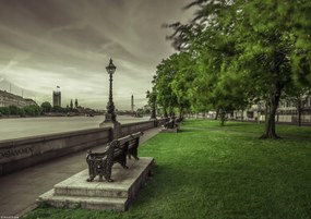 Poszter 29,7x21cm Pad a Temze partján parkban, Assaf Frank