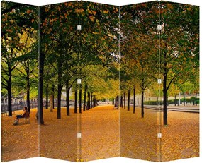 Paraván - őszi fasor (210x170 cm)
