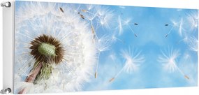 Mágneses Radiátorszőnyeg 140x60 Virágok Fotótapéta