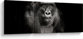 Kép - Gorilla (órával) (90x30 cm)