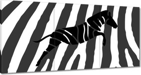 Vászonkép 120x60 Zebra csíkok