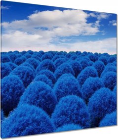 Vászonkép 90x90 Klasszikus kék színben