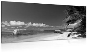 Kép Anse Source tengerpart fekete fehérben