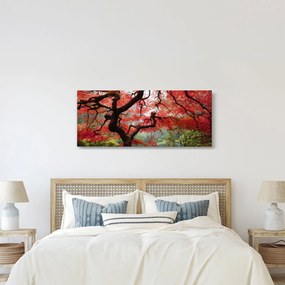 Red Japanese Maple, Portland, Oregon képe (120x50 cm)