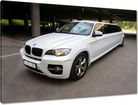 Vászonkép 90x60 Bmw X6 Limousine