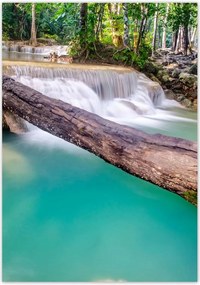 Poszterek 70x100 Kidőlt fa