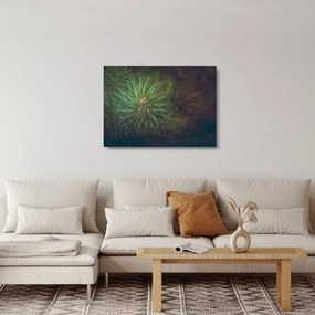 Kép - Fenyőfa részlete (üvegen) (70x50 cm)