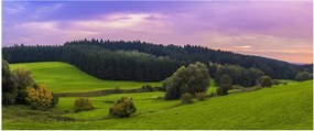 Rét képe (120x50 cm)