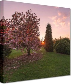 Vászonkép 60x60 Kilátás Tájkép