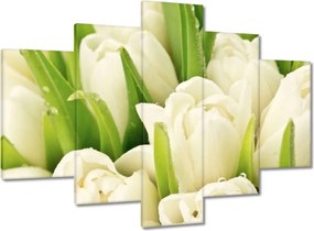 Képek 150x105 Finom tulipánok