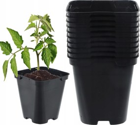 Palántanevelő kaspó Ültető kaspó 0,5l vetéshez P9 10db