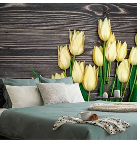 Fotótapéta sárga tulipán fa háttéren - 375x250 -