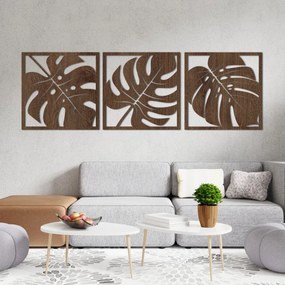 Természetes monstera faldekoráció | SELERE
