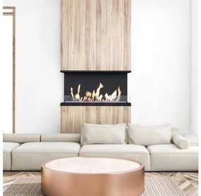 Kratki X-RAY/TUV - Beépíthető bio kandalló X-RAY 50x100 cm 3,5 kW fekete