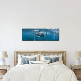 Kép - Delfin a felszín alatt (órával) (90x30 cm)
