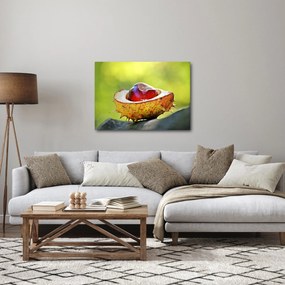 Gesztenye képe (70x50 cm)