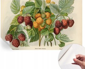 Öntapadós tapéta Divatos 3D fali ragasztóval Klasszikus málna 416x254 cm