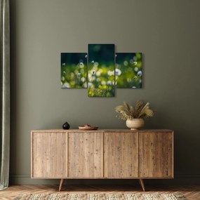 Kép - Fű (90x60 cm)