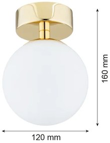 Argon 4004 - Fürdőszobai mennyezeti lámpa FLAVIO 1xE14/7W/230V IP44