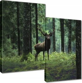 Vászonkép 60x60 Szarvas az erdő közepén