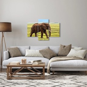 Egy elefánt képe (90x60 cm)