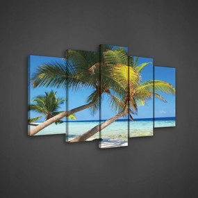 Vászonkép 170x100 Trópusi tengerpart pálmafák óceán sziget paradicsom pihenés egzotikus