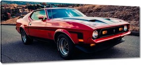 Festmények 100x40 Mustang Mach 1 from Usa