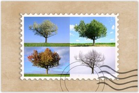 Poszterek 90x60 Négy évszak Fa