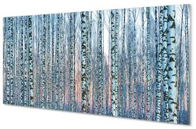 Akrilkép Nyírfa erdő naplemente 100x50 cm