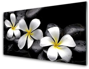 Üvegkép Plumeria virág növény 100x50 cm 4 fogas