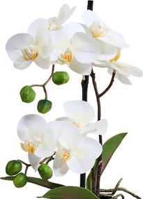 FLORISTA cserepes orchidea, 35 cm