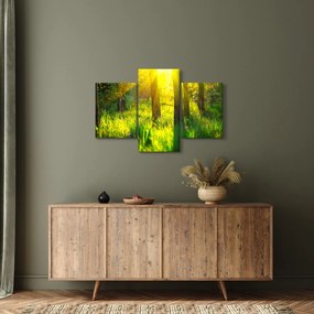 Kép - Az erdő tavaszi ébredése (90x60 cm)