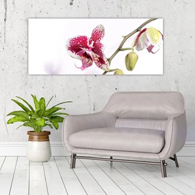 Orchidea virág képe (120x50 cm)