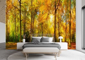 Gario Fotótapéta Őszi erdő Anyag: Vlies, Méret: 300 x 210 cm