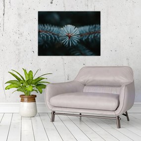 Egy tűlevelű fa gallyának képe (70x50 cm)