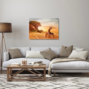 Kép - Zsiráfok Afrikában (üvegen) (70x50 cm)