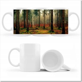 Bögre fényképpel Erdő Tájkép