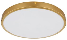 Globo 12381-22 - LED Mennyezeti lámpa TIBEY LED/22W/230V átm. 35 cm