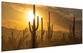 Kép - Saguaro kaktuszok (120x50 cm)