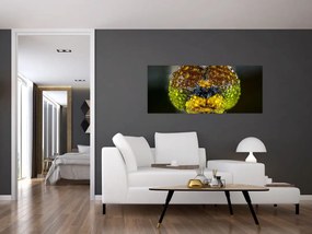 Részletes kép a rovar szemről (120x50 cm)