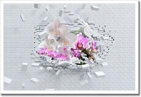 Poszter keretben 60x40 Orchidea a falon Virágok
