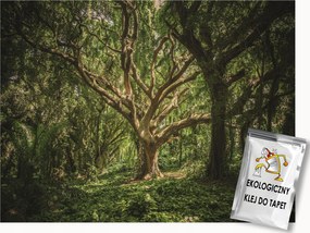 Fotótapéta Flizelina Természet Erdő Fa Ágak 200x140 ragasztó